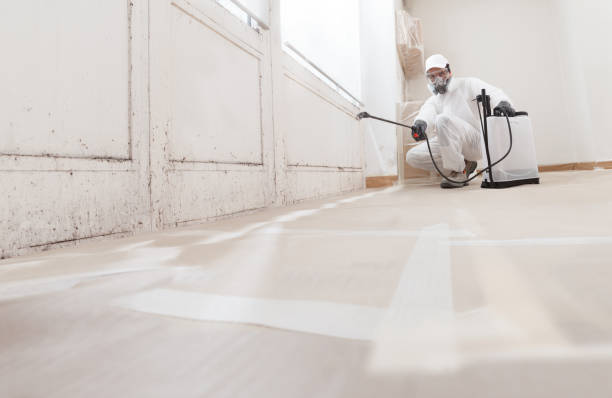 24/7 Emergency Mold Remediation experts in Aberdeen, WA