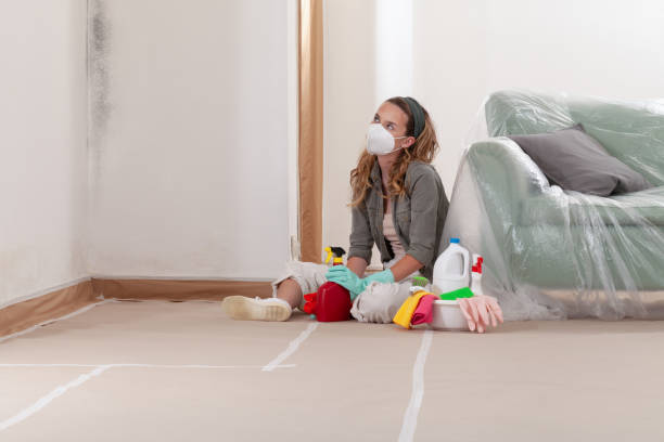 Reliable Mold Remediation contractor in Aberdeen, WA by 24 Hour Mold Removal
